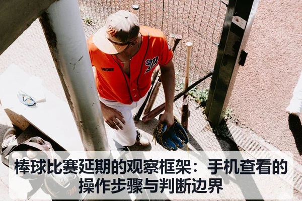 棒球比赛延期的观察框架:手机查看的操作步骤与判断边界